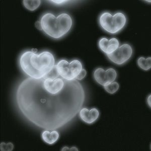 Meet your Posher, Maya